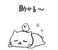 841354548