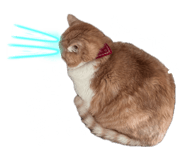 841354769