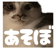 841355065