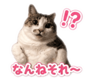 841355071