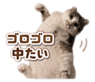 841355075
