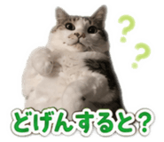 841355083