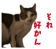 841355087