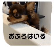 841355179