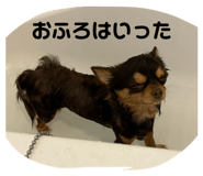 841355181