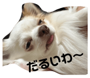 841355188