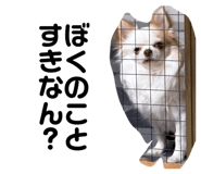 841355191