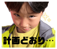 841355356