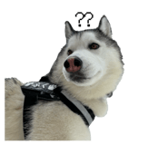 841355376