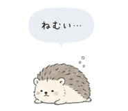 841355620
