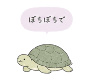 841355628