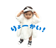 841355684