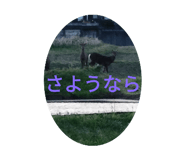 841355702