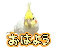 841355867