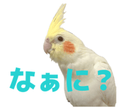 841355870