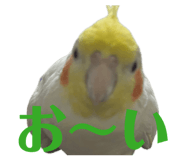 841355873