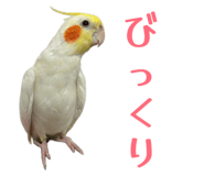 841355876