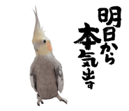 841355880