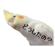 841355881