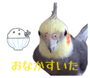 841355882