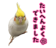841355885
