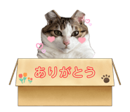 841355911