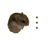 841355994