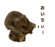 841355998