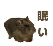 841355999