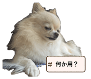 841356022