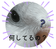 841356418