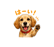 841356682
