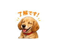 841356686