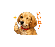 841356687