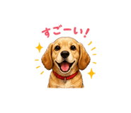 841356699