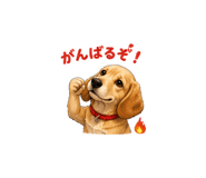 841356705