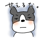 841362807