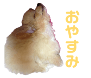 841363018