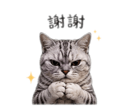 841363294