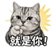 841363300