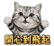 841363302