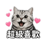 841363305