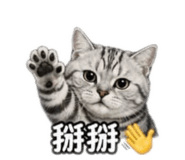 841363306