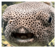 841363424