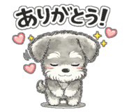 841363552
