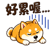 841363961