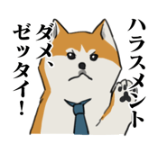 841364594