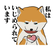 841364603