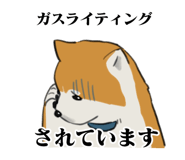841364605