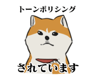 841364606